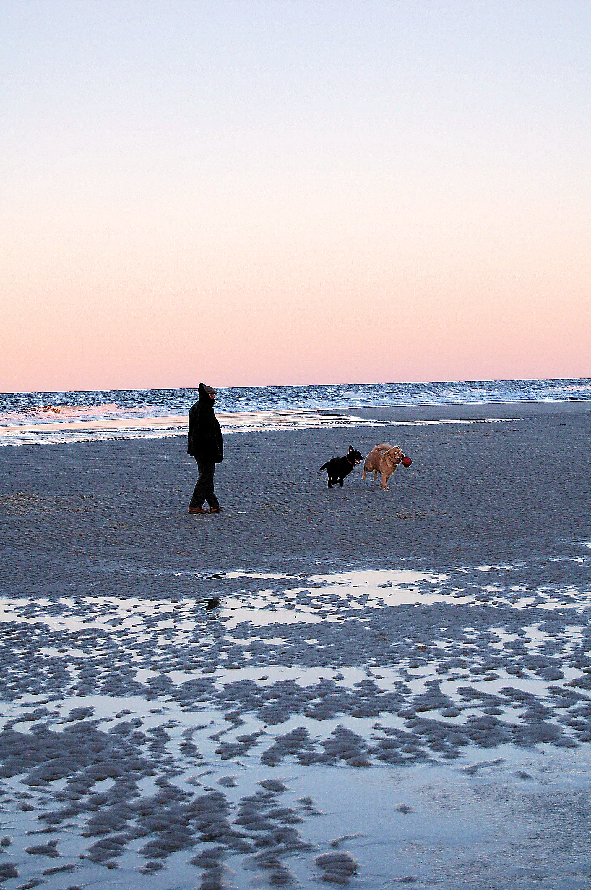 dogs_beach_sundown.jpg