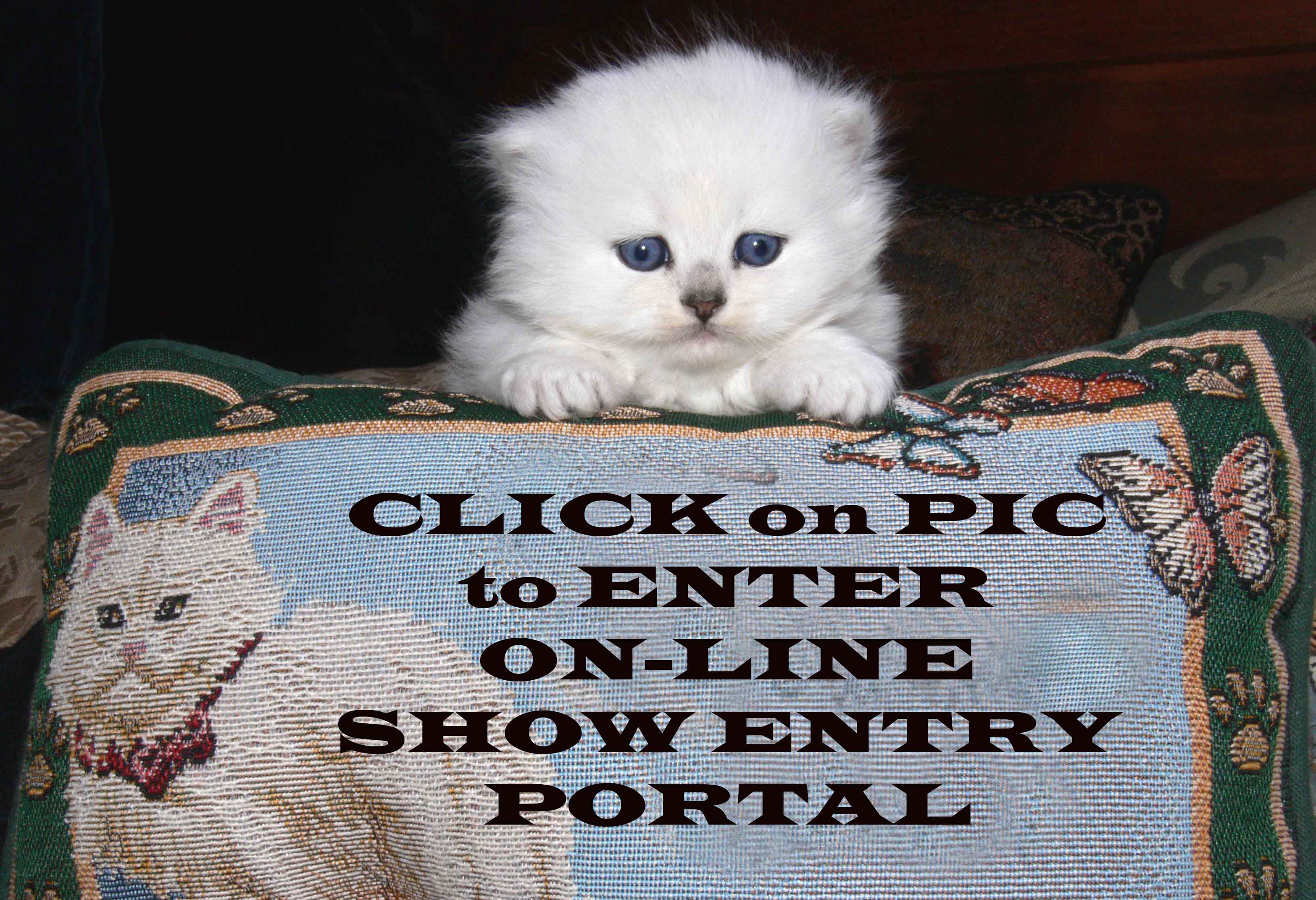 entry_portal.jpg