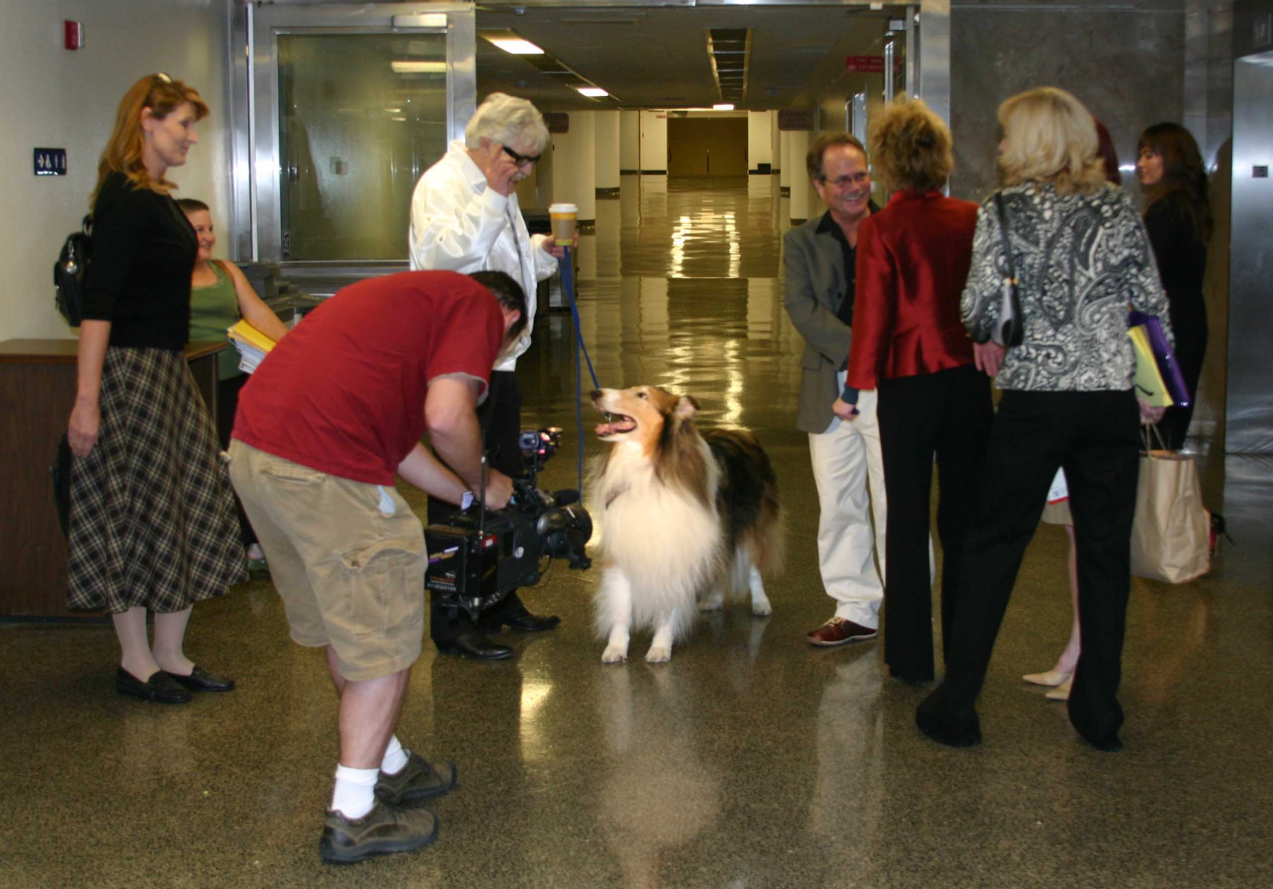 lassie_arrives_at_the_capitol2small.jpg