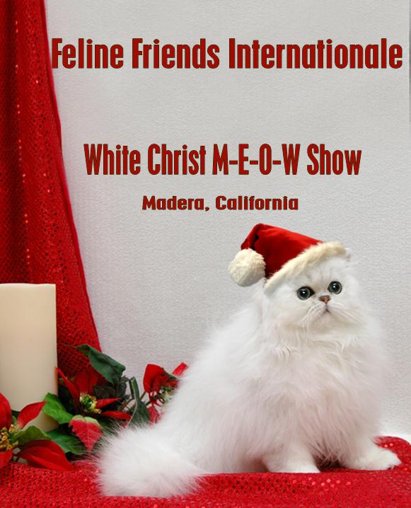 white_christmeow_show_with_hat.jpg